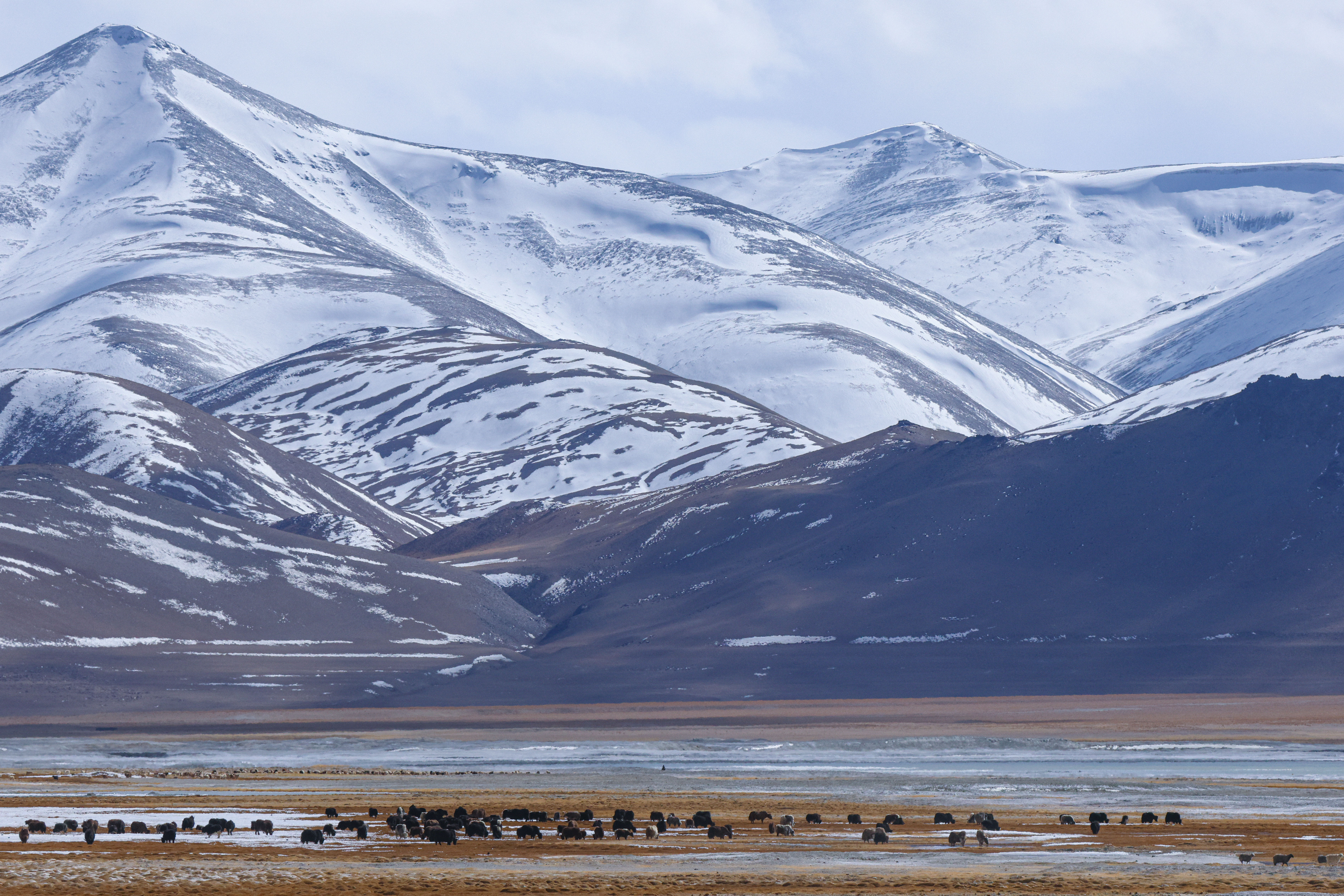 Ladakh Mountain Landscape
