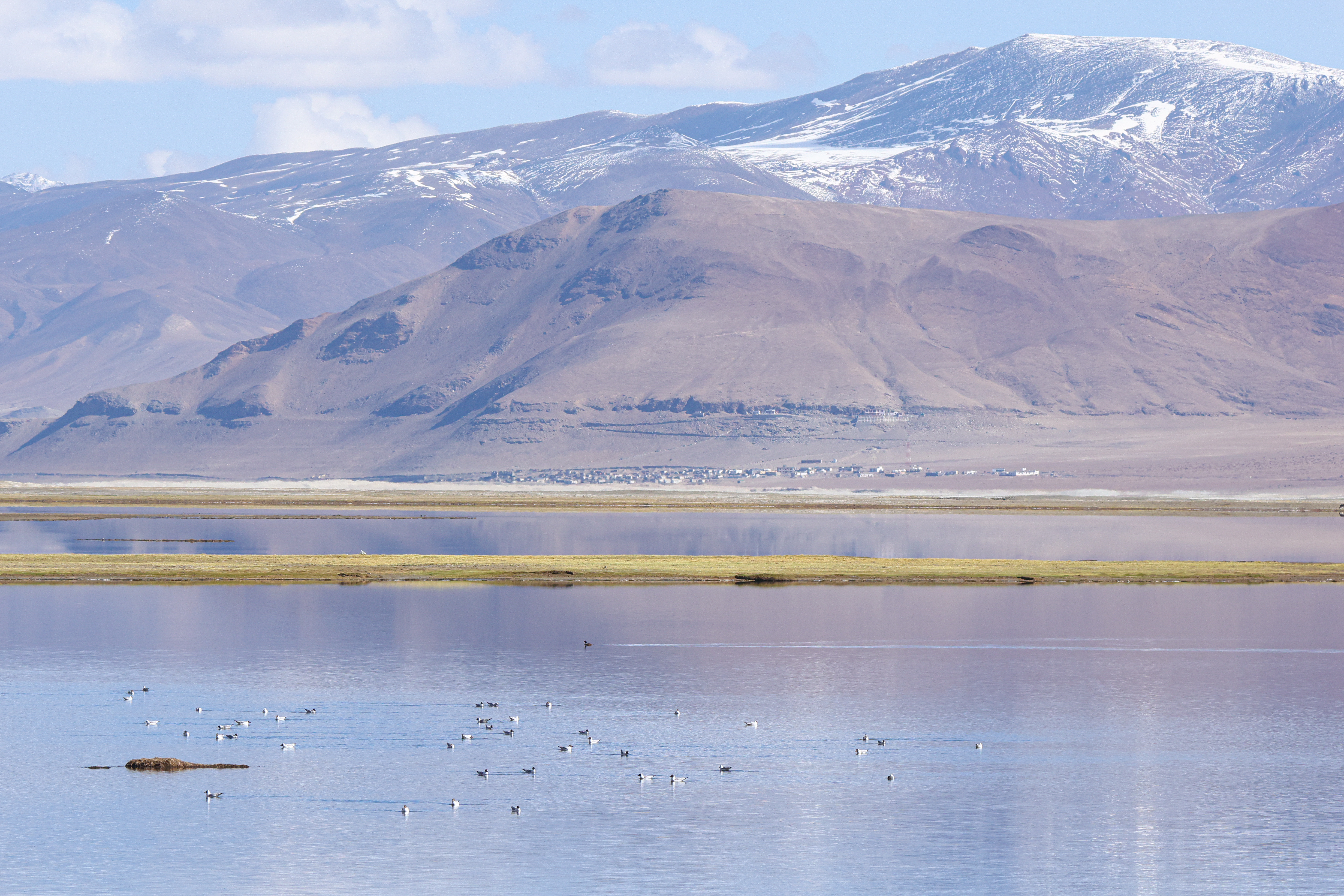 Wetlands